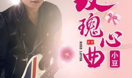 心曲在线观看,沉浸式音乐之旅，感受音符中的情感共鸣